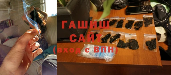 дмт Бородино