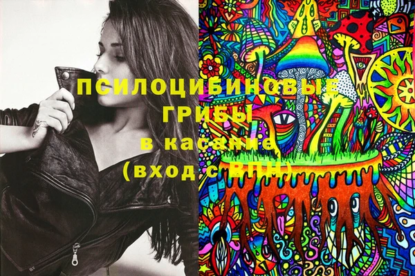 гидропоника Верея