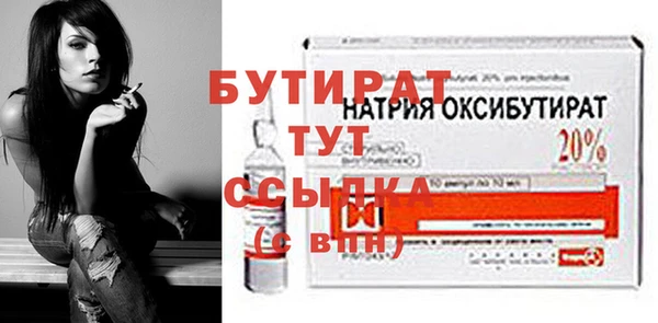 дмт Бородино