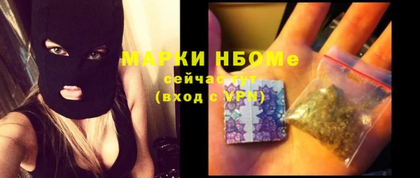 дмт Бородино