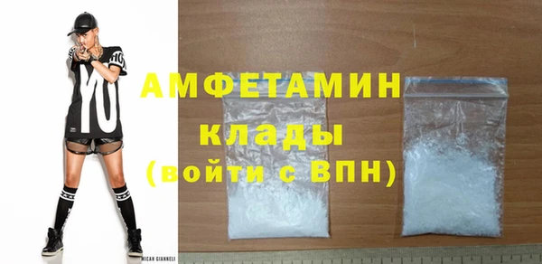 дмт Бородино