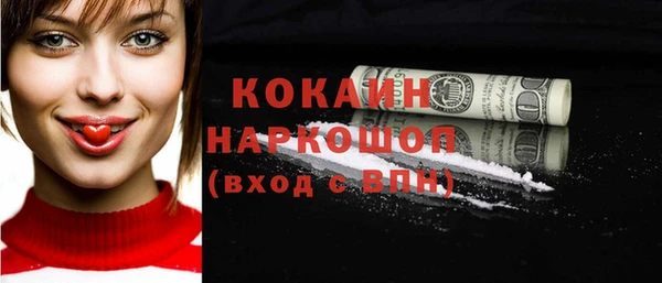 дмт Бородино