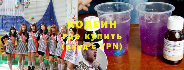 дмт Бородино