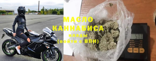 дмт Бородино