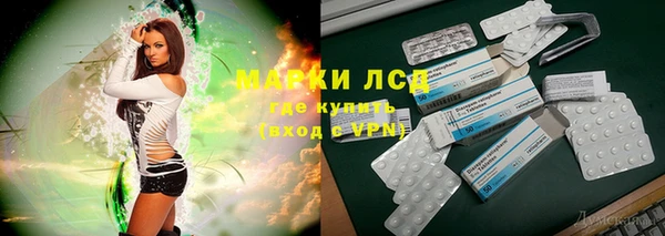 дмт Бородино