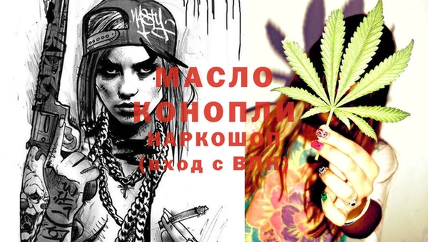 дмт Бородино