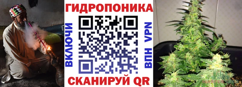 Купить закладки  Покров  Бошки Шишки OG Kush 